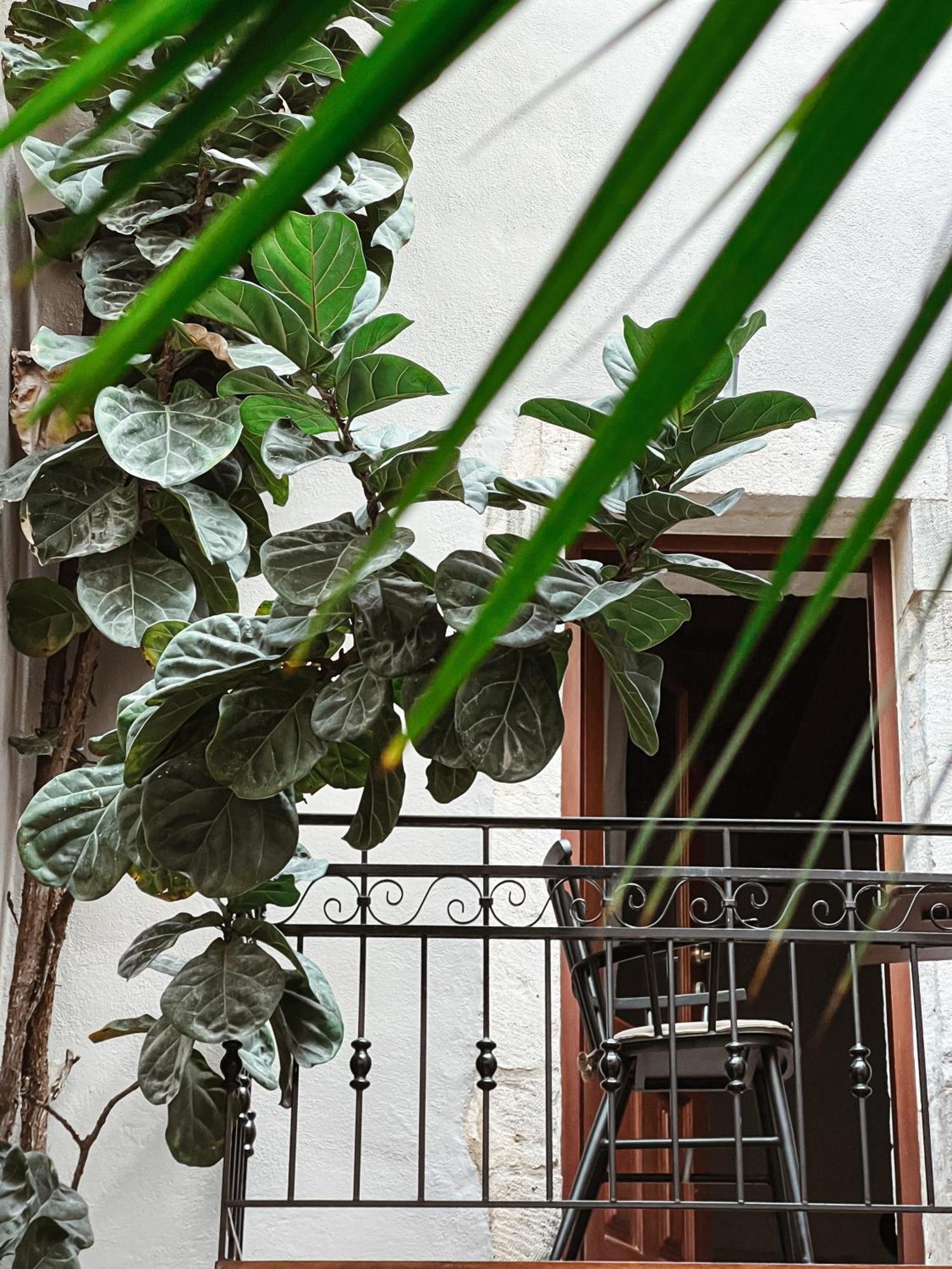Casa Dei Delfini Hotel Rethymnon Exterior foto